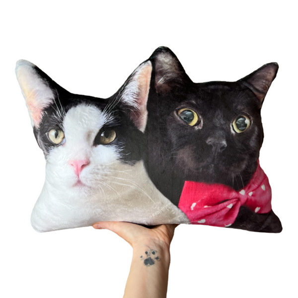 COMING SOON - Willy Wonky & Charlie Bear Photo Pillow MrsCopyCat