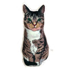Custom Cat Portrait Pillow MrsCopyCat