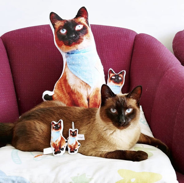 Custom Pet Photo Pillow MrsCopyCat