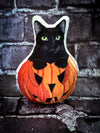 Halloween Pumpkin Black Cat Plush MERCURY MrsCopyCat